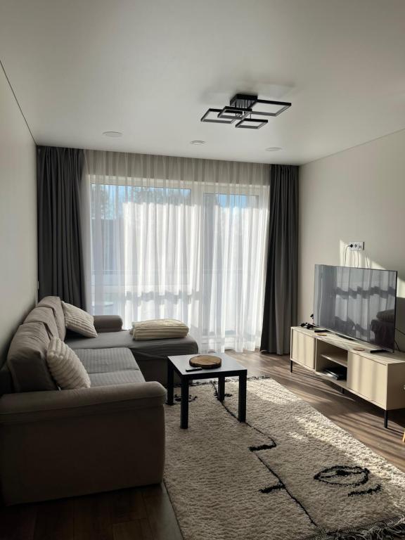 a living room with a couch and a flat screen tv at Modern apartment with Private parking - 10 min to airport, 15 min Center in Vilnius