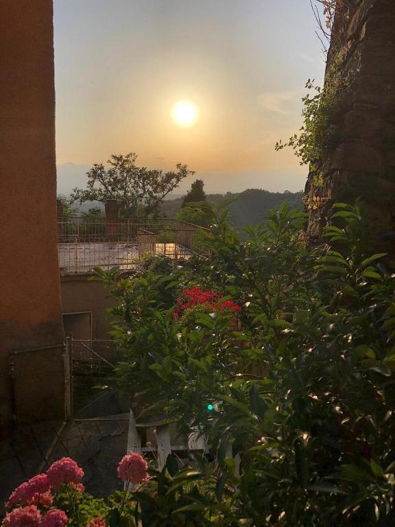 a view of the sunset from a garden with flowers at B&B QUIConti in Agnino