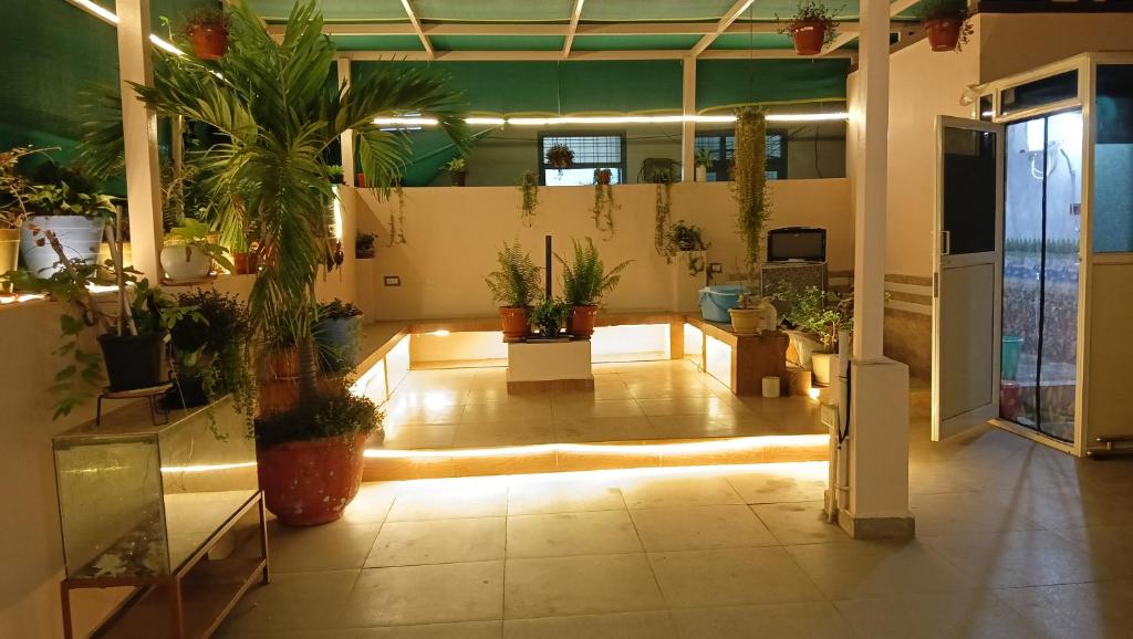 a room filled with potted plants in a building at Kasotiya Mansion Homestay in Surūrnagar