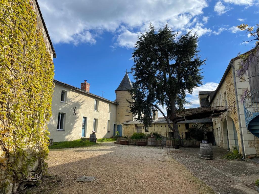 a courtyard of an old building with a tree at Sirona - domaine viticole et chambres d'hôtes in Le Puy-Notre-Dame
