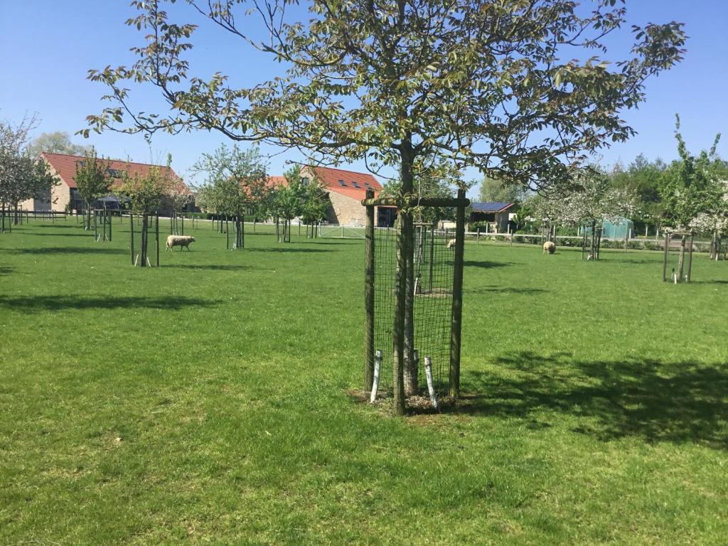 a cage around a tree in a field at Vakantiehuis 1 - Ter Douve in Heuvelland
