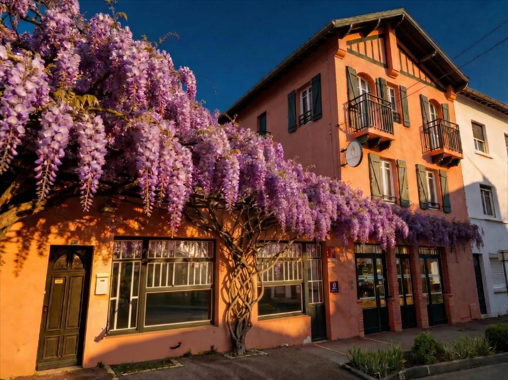 a purple wisteria tree on the side of a building at Boutique hôtel Maria-Christina in Saint-Jean-de-Luz