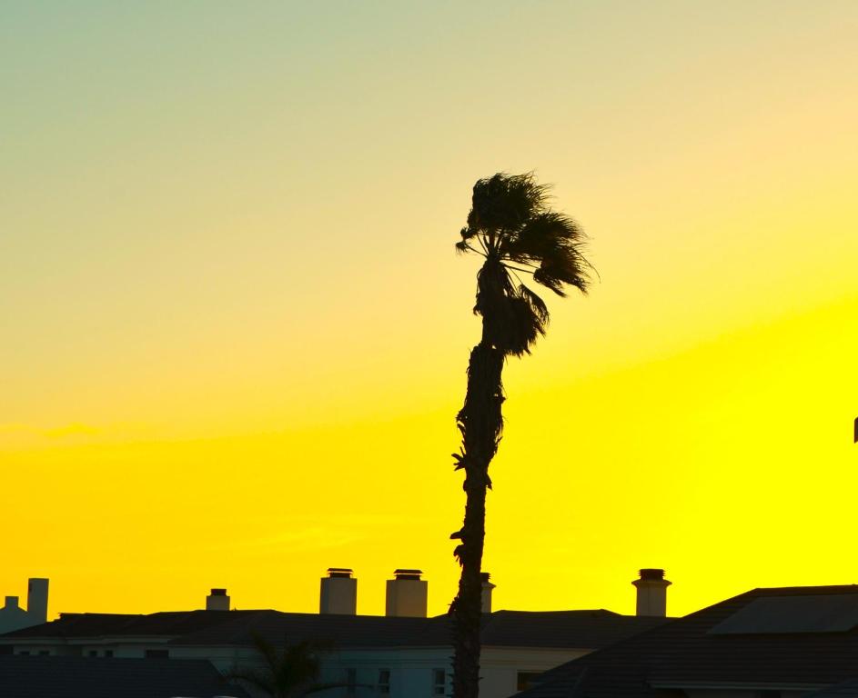 a palm tree in front of a sunset at Shelley Point Townhouse in Stompneusbaai