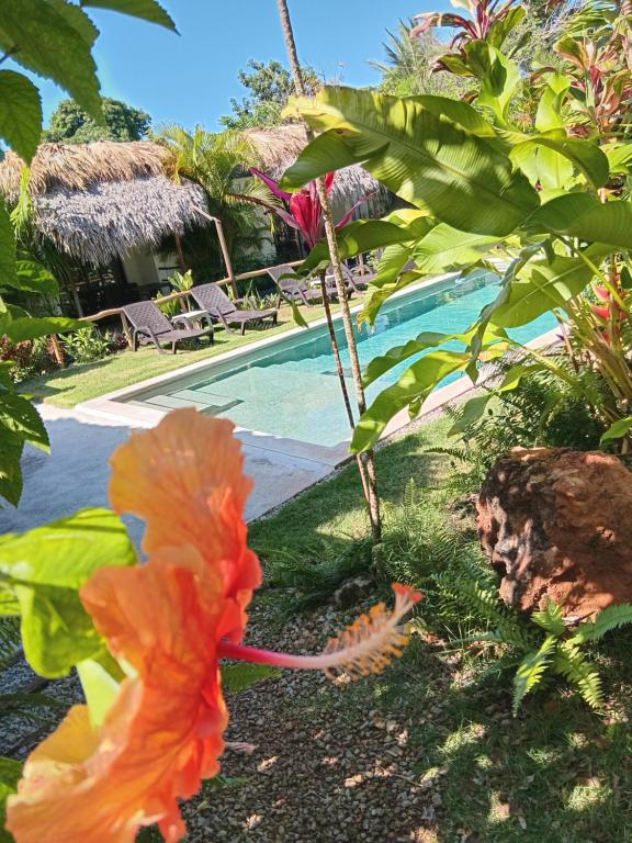 an orange dress is on the ground near a pool at BUNGALOWS COLIBRI in Las Galeras