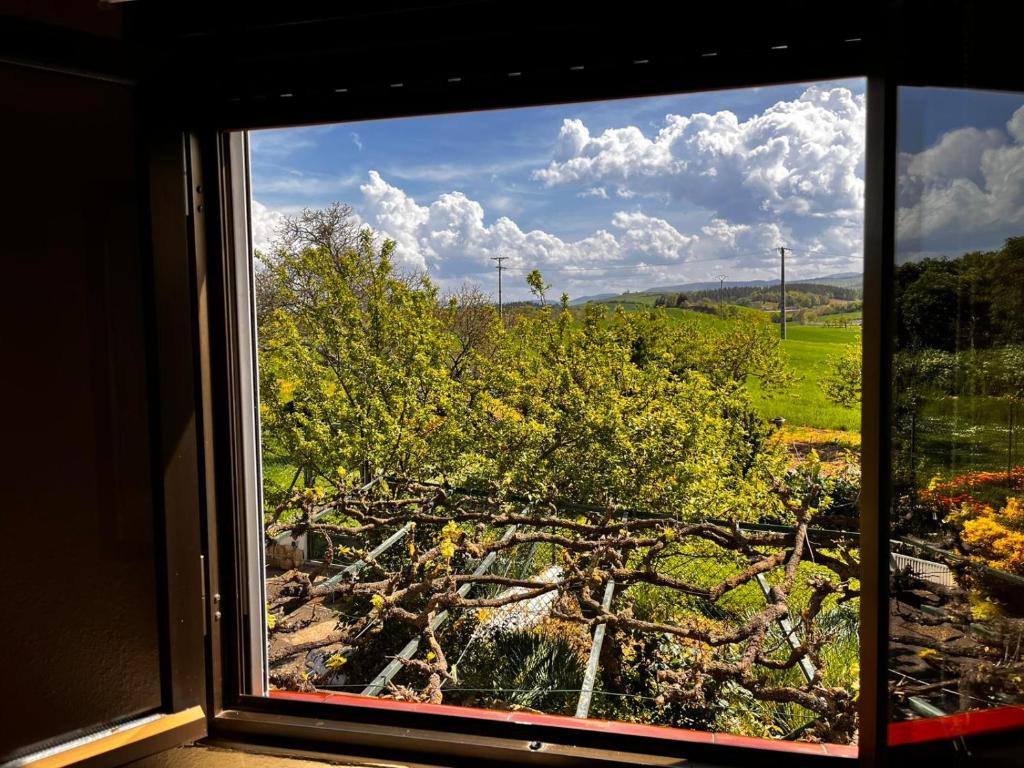 Vistas habitación 2