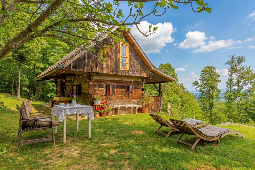 a log cabin with a table and chairs in front of it at Tiny House Bibi /w Private Garden - Happy Rentals in Dragatuš