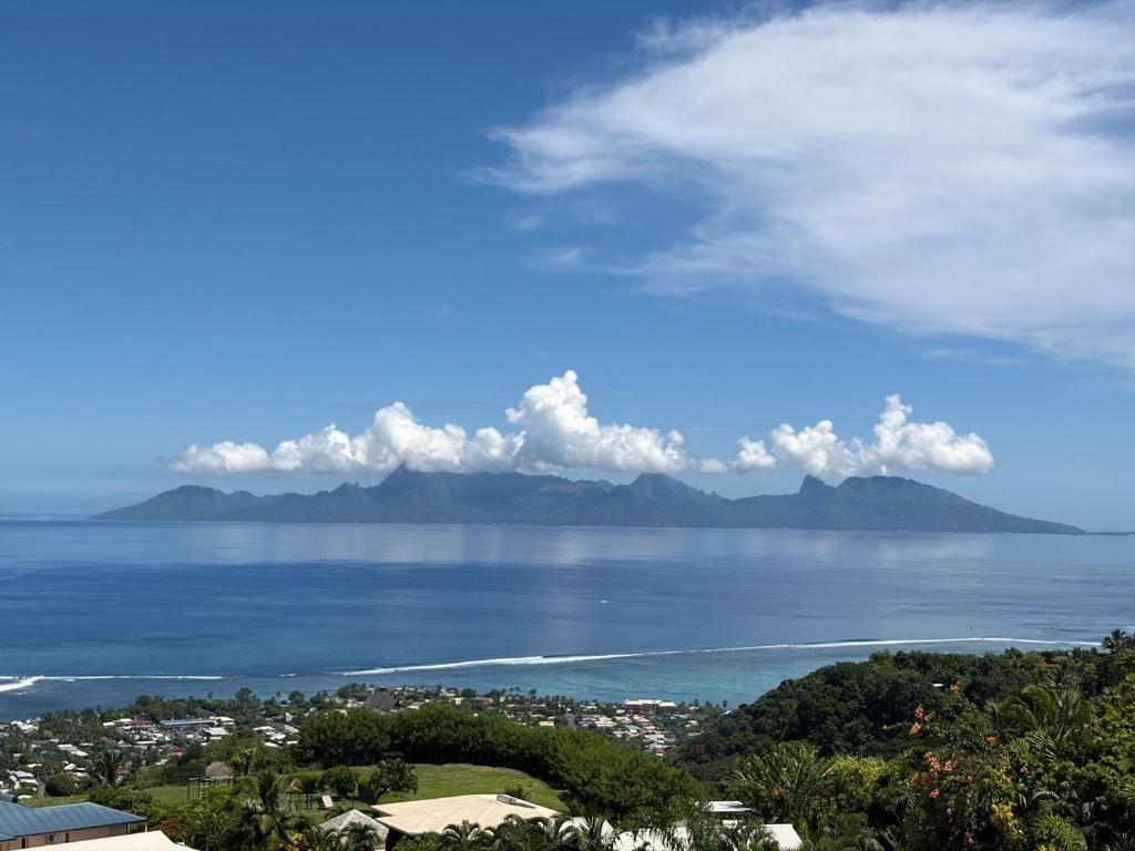 Cozy bungalow vue exceptionnelle sur l'océan - photo 2 - Tahiti, Polynésie