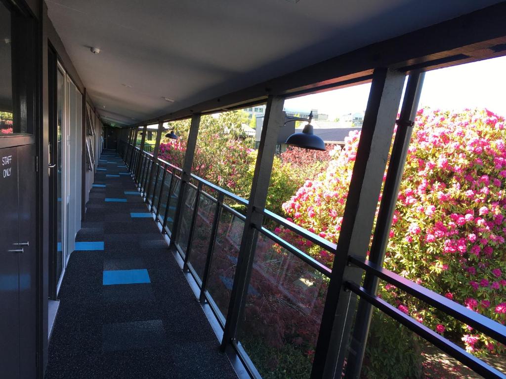 Aurora on George - Resim 33