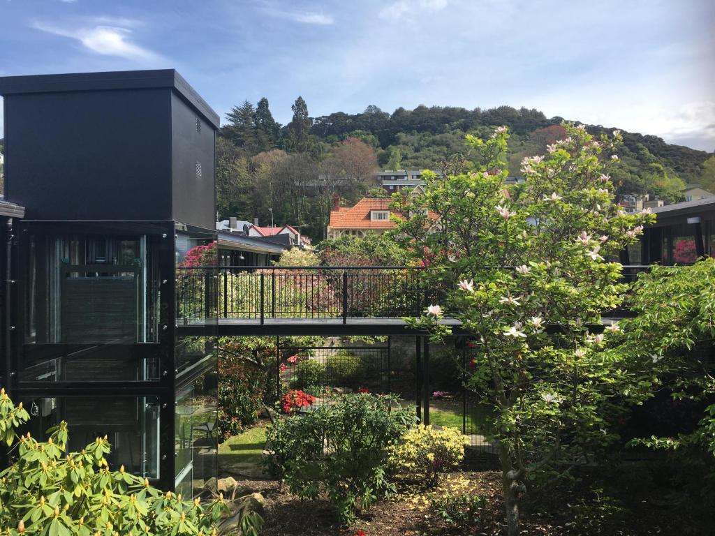 Aurora on George - Resim 6