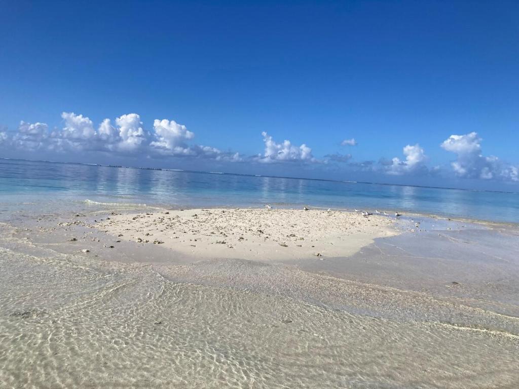 Rainbow beach Bungalow - photo 11 - Tahiti, Polynésie