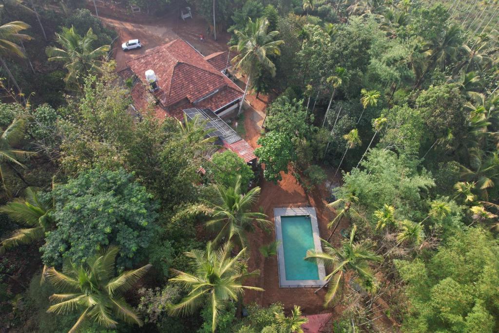 an aerial view of a house with a pool in the forest at Vayuvana Heritage Organic Farm Resort in Panamaram
