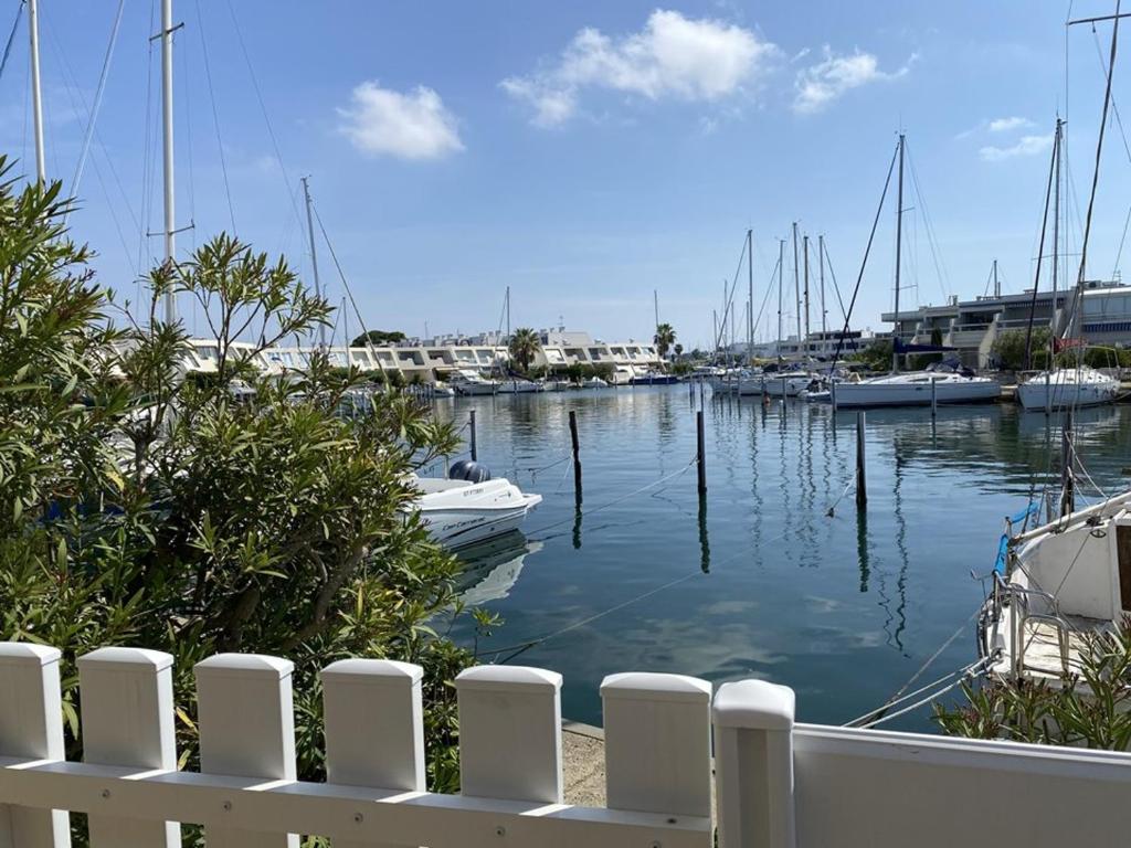 Marina lumineuse, clim, port - 6 pers. - FR-1-874-37
