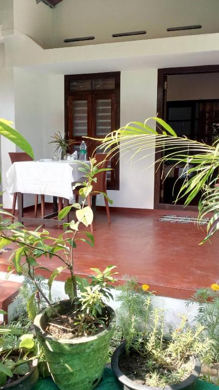 Zahrada ubytování Marari Umapathi Beach Villa