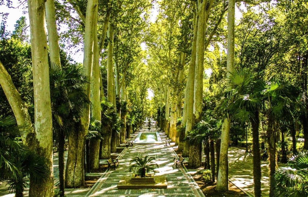 a pathway lined with palm trees in a park at Green side in Ganja