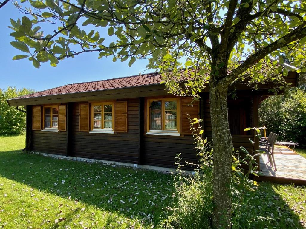 a log cabin with a tree in front of it at Ferienhaus Lauter 57 in Hayingen