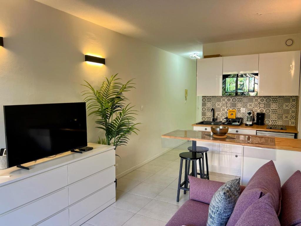 a living room with a couch and a tv and a kitchen at Cocoon Studio Ciel de Fabron in Nice
