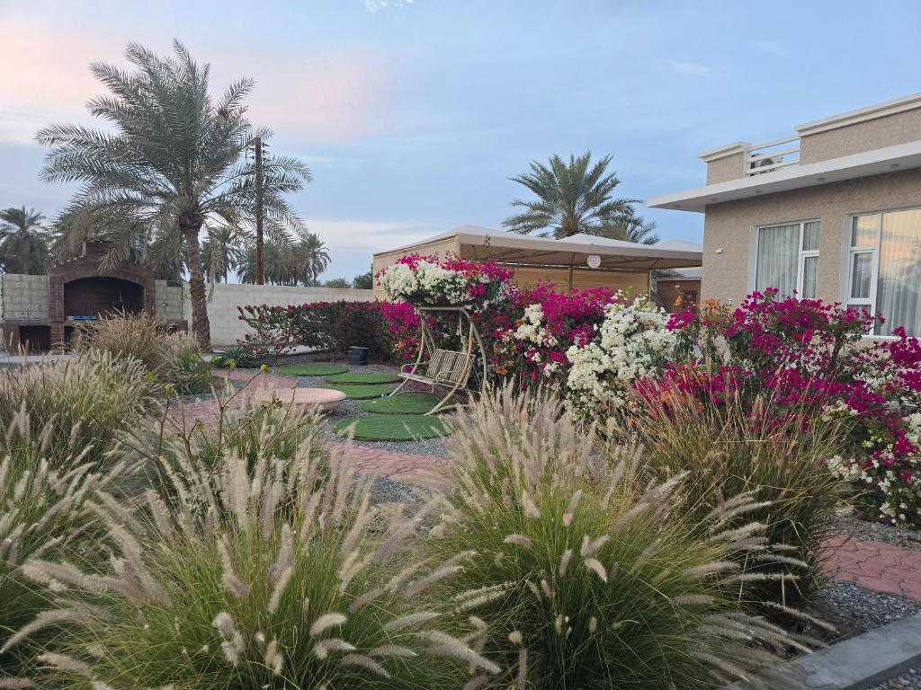 a garden with pink and white flowers in front of a house at Katara Garden in As Suwayq