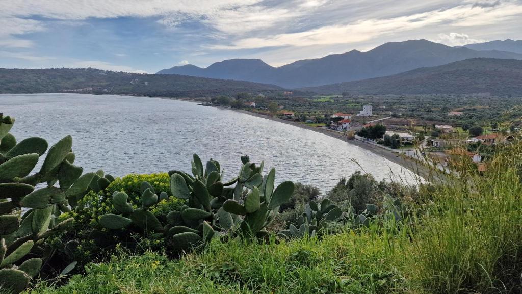 a view of a body of water with mountains at Dream in Kamáres