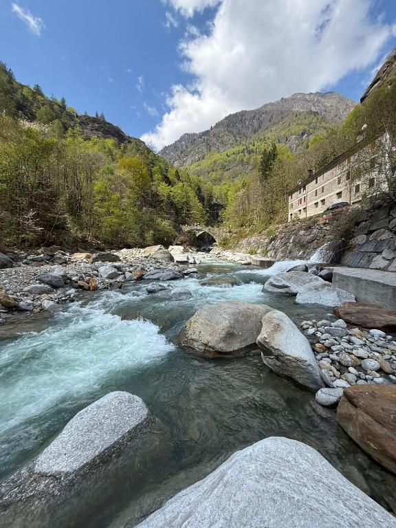 a river with rocks in the middle of a mountain at Monte Rosa Dream in Borgone