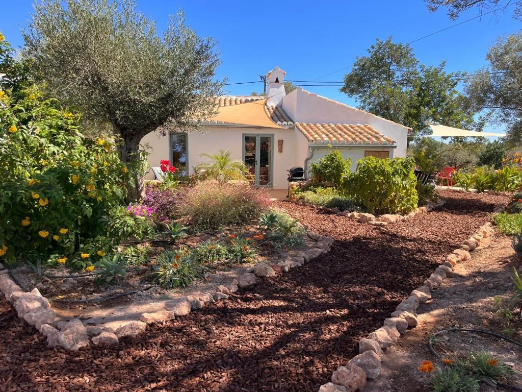 a garden in front of a house at Casa Frango in Moncarapacho