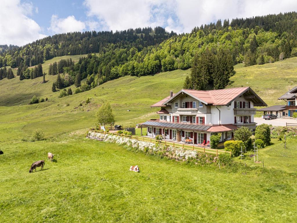a house in a grassy field with cows in the foreground at Alpenrösle Ferienwohnungen - Berge - Ruhe - Traumaussicht 1-, 2- und 3-Raum-Wohnungen, Panoramasauna in Balderschwang