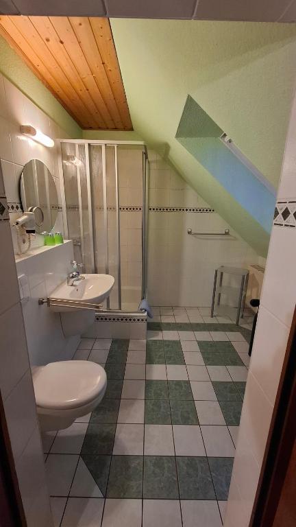 a bathroom with a sink and a toilet at Darpvenner Diele in Ostercappeln