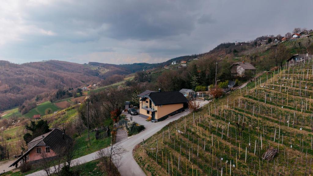 an aerial view of a vineyard with a house at Nogica in Otočec