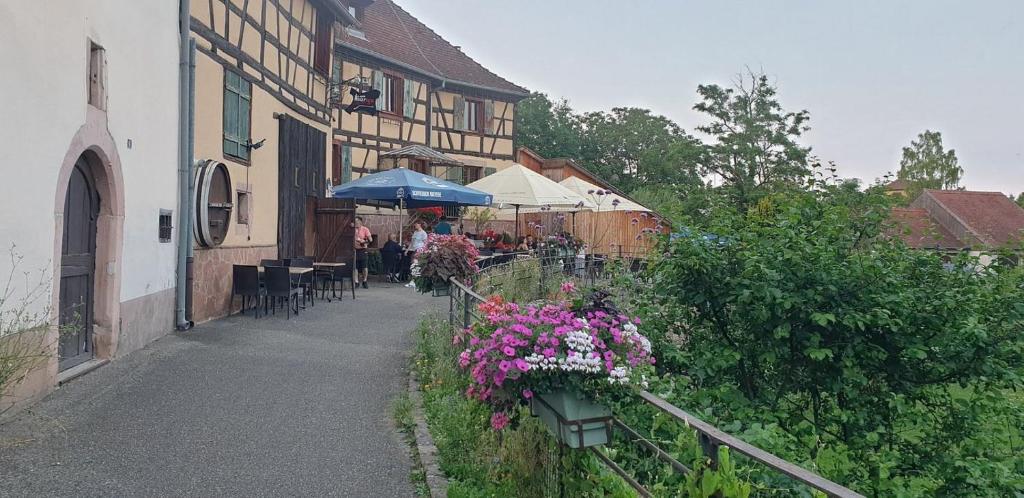 Gîte La Maison Bleue à Bergheim – photo 23