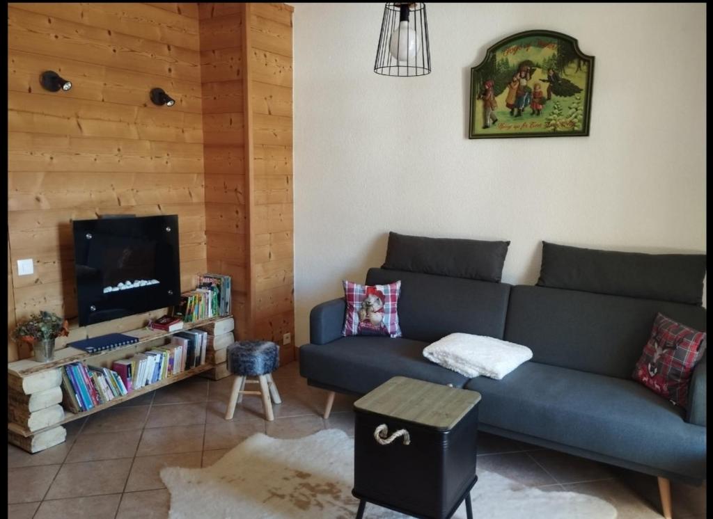 a living room with a couch and a tv at Le gîte du Val in Flumet