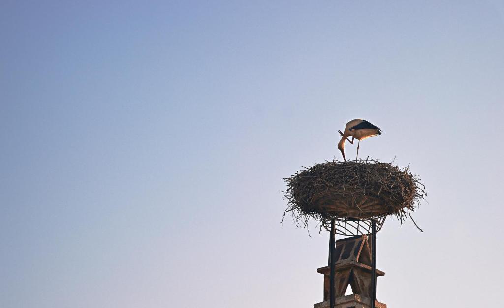 Fotografie z fotogalerie ubytování Gut Purbach v destinaci Purbach am Neusiedlersee