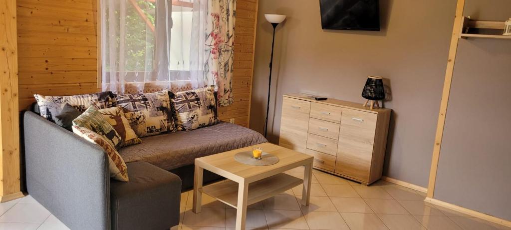 a living room with a couch and a table at Solińskie Podgórze in Solina