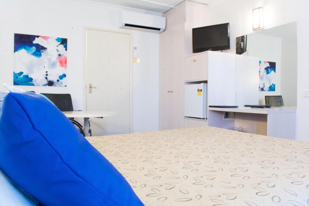 TV a/nebo společenská místnost v ubytování Alexander Motor Inn