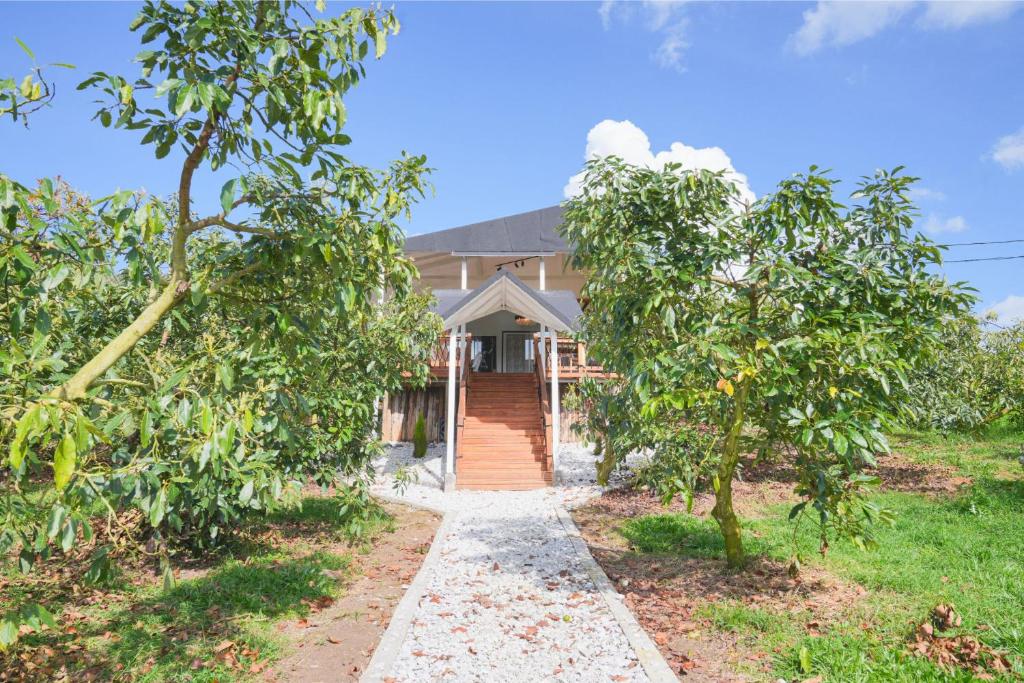 a house with trees in front of it at Örök Landscape Hotel in Rionegro