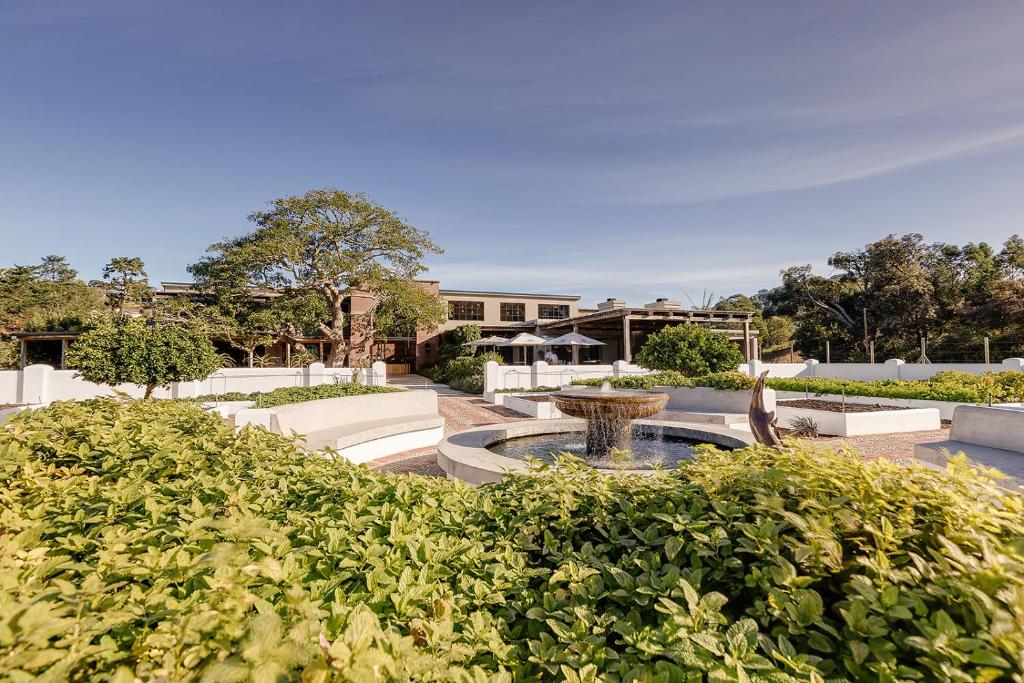 a courtyard with a fountain and chairs and bushes at Barrington's in Plettenberg Bay