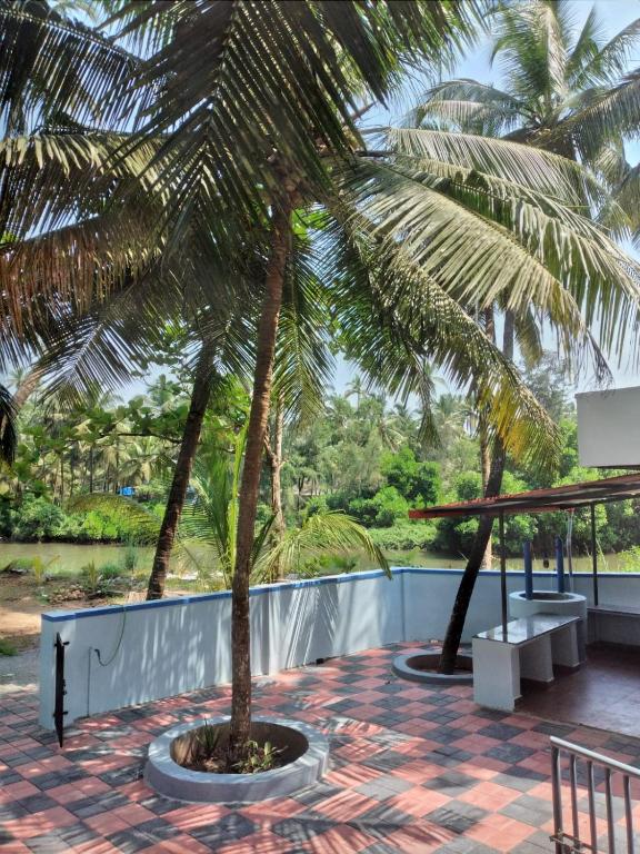 a palm tree sitting on top of a patio at Samudra Nadi Bliss in Mūlki