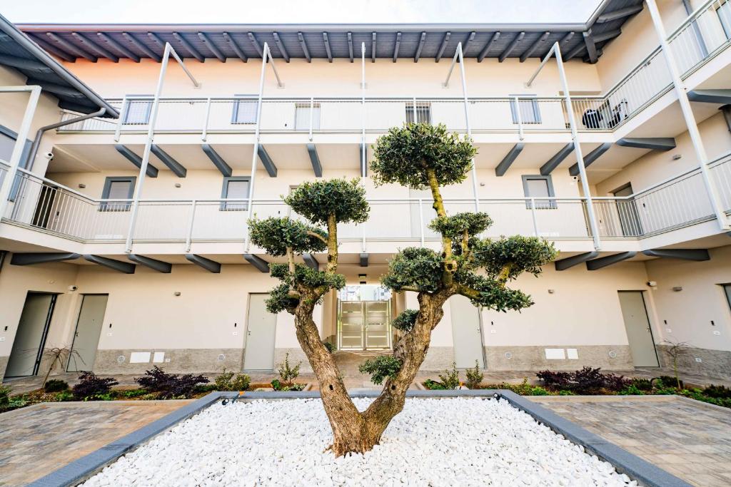 a tree in front of a building at FEEL - Palazzo Ortelli in Bergamo