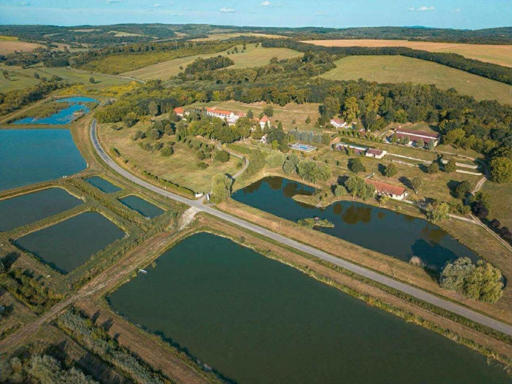 an aerial view of a lake and a house at Vitál Guesthouse in Almamellék