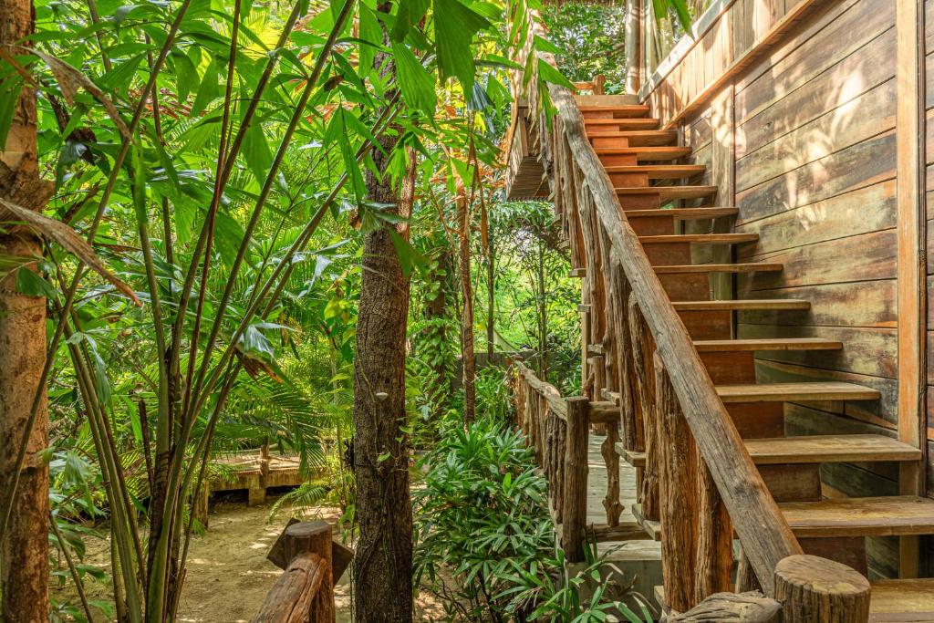 Bungalow Premium Jungle 2 Giường Đơn