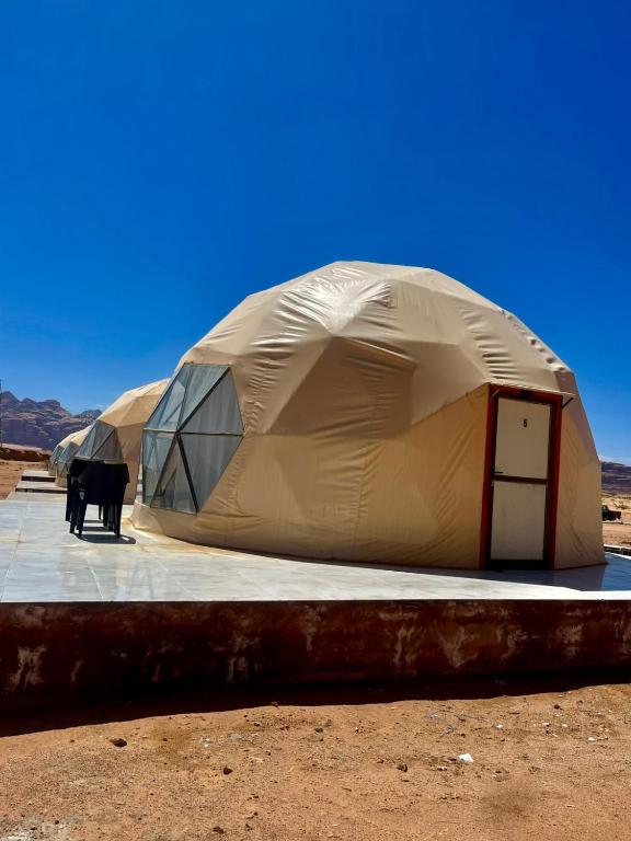 a tent with a cow standing in front of it at Wadi rum trips in Wadi Rum