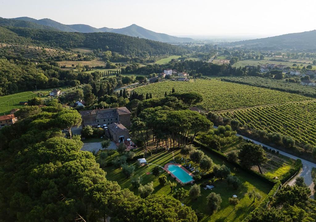 an aerial view of a estate with a vineyard at Il Maggese in Cortona