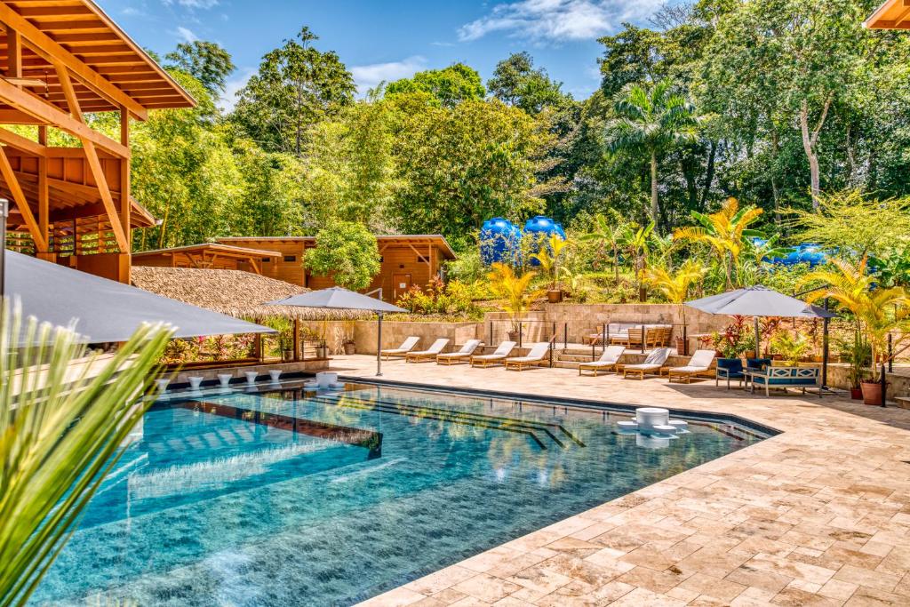 a pool with chairs and umbrellas next to a house at TropicalArts Resort&Studios in Bocas Town