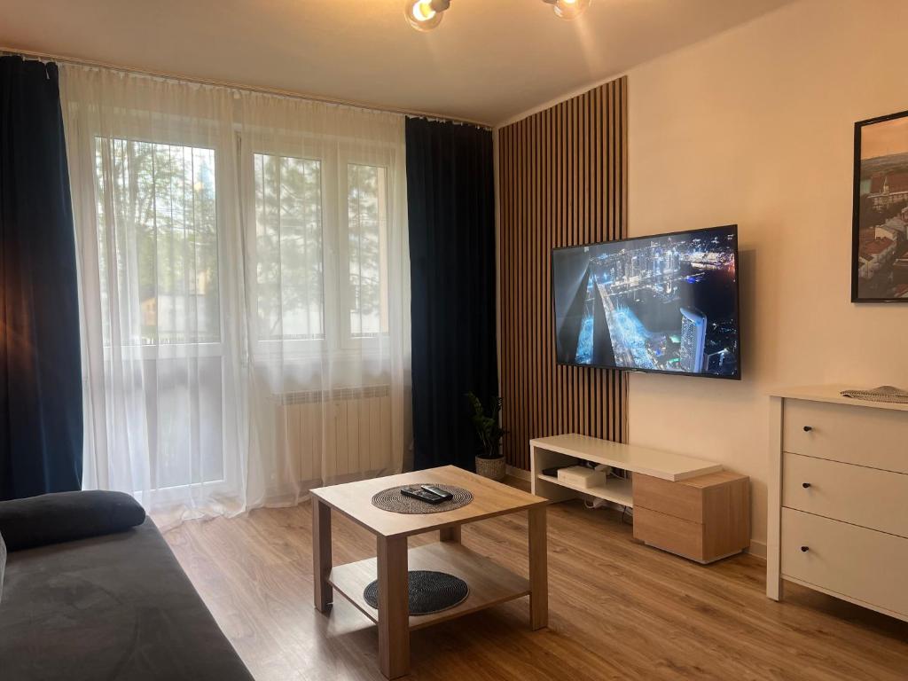 a living room with a couch and a tv at SKY Apartment 1 in Oświęcim