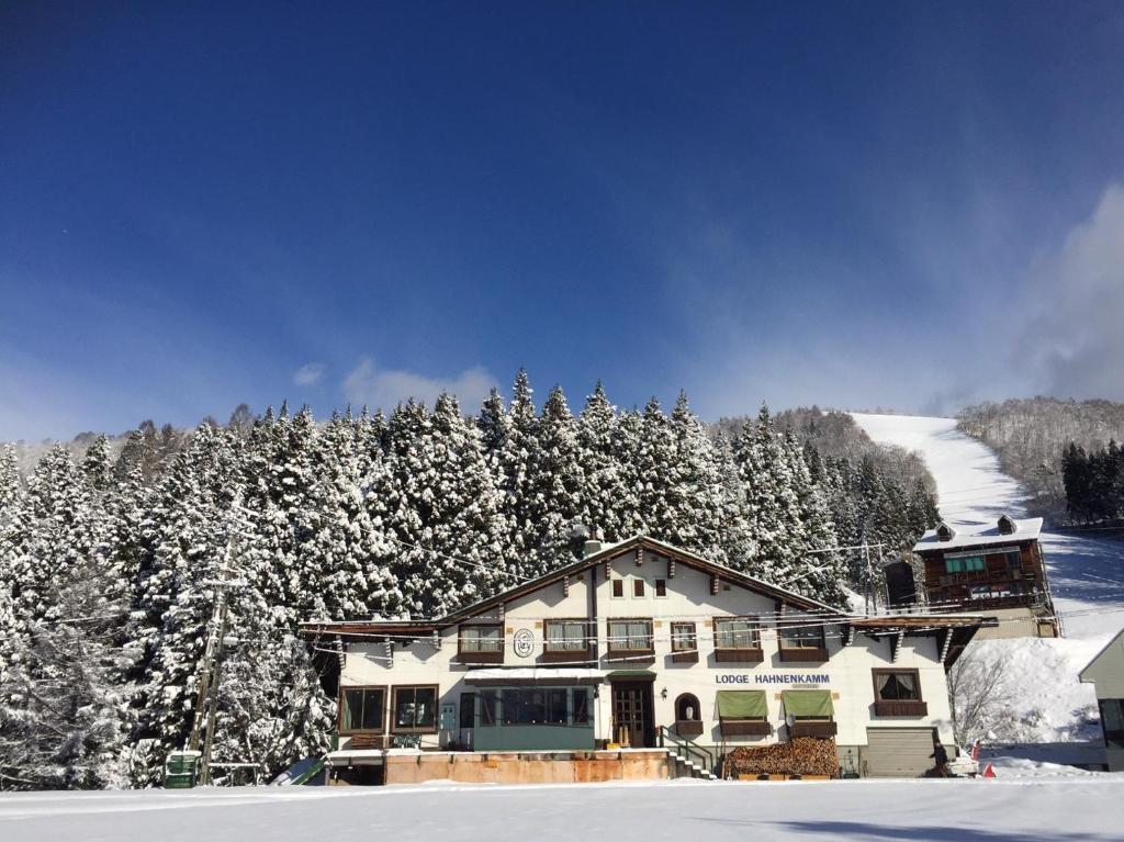 a house in the snow with snow covered trees at Lodge Hahnenkamm in Nozawa Onsen