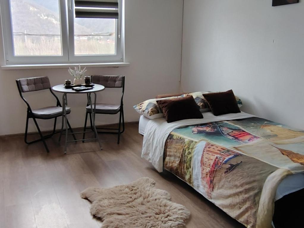 a bedroom with a bed and a table with chairs at Studio roberto in Piatra Neamţ