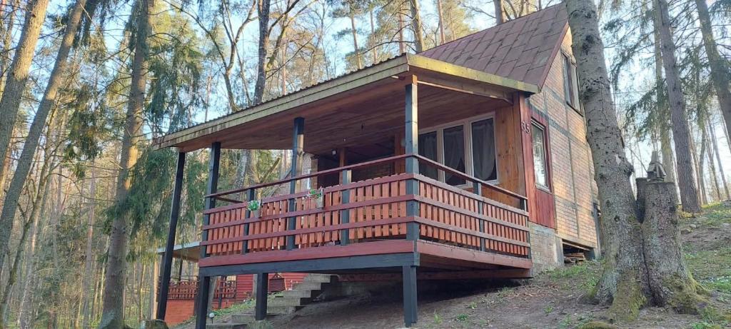 a tree house in the middle of a forest at Oleandria- ,, Domek Malinka" nr 35 in Biskupiec