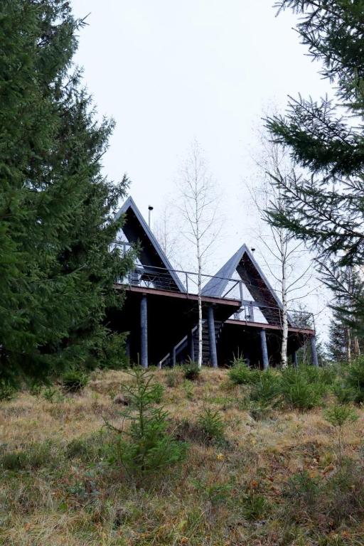 a house sitting on top of a hill at Forest Huts in Yablunytsya