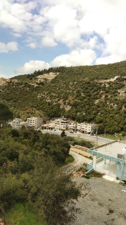 a view of a city with buildings and a mountain at شقة مفروشة in Ajloun