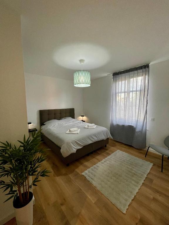 Appartement cosy aux 3 frontières – photo 23