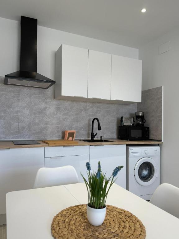 a kitchen with a table with a plant on it at El Rinconcito de la Jara con Parking para varios coches in Sanlúcar de Barrameda