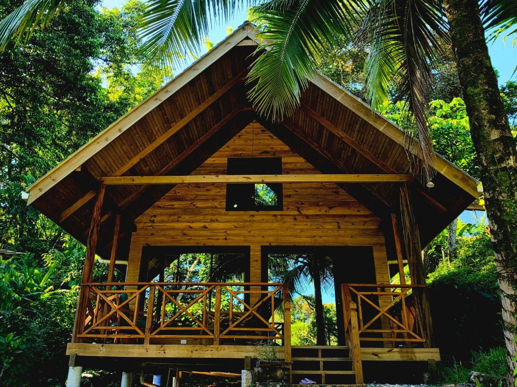 a tree house with a roof and a porch at The Pause EcoCabin Bocas del Toro in Bocas Town